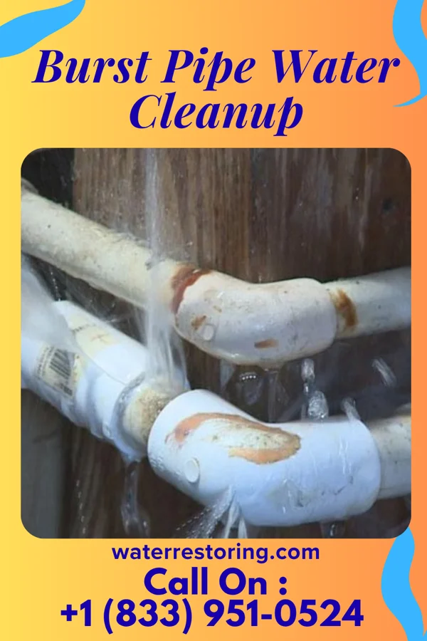 Burst Pipe Water Cleanup in Gallitzin, PA