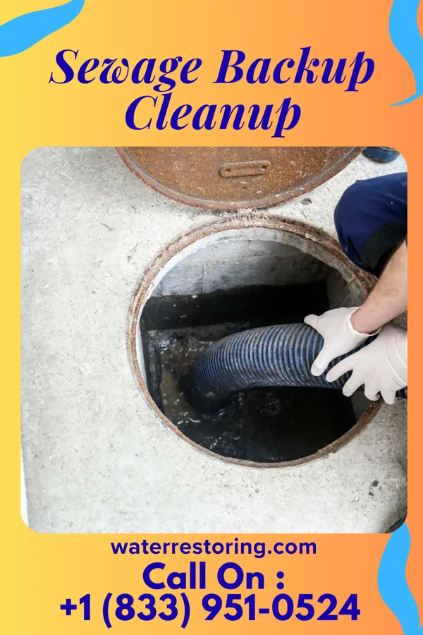 Sewage Backup Cleanup in Gallitzin, PA